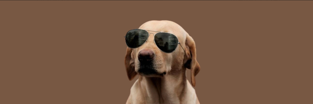 The Crypto Dog Logo